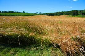 2023년 경기도 광주시 농민기본소득 지원사업 추가(3차) 신청대상과 신청방법