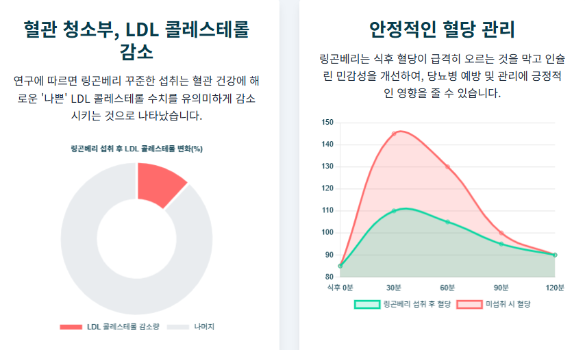 링곤베리 효능이 궁금하세요? 부작용, 섭취법, 항산화, 면역력 완벽 정리!