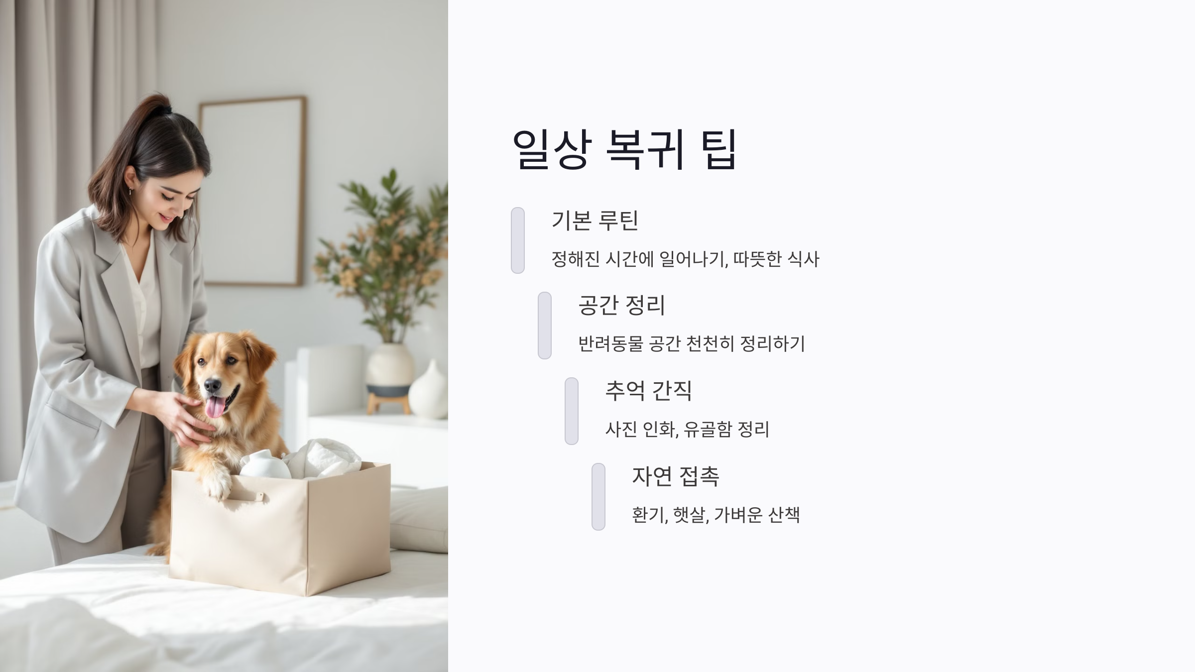 반려동물 이별 후 일상 복귀를 위한 실천 팁