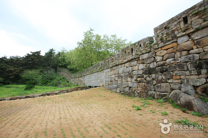 칠곡 가볼만한곳 베스트10