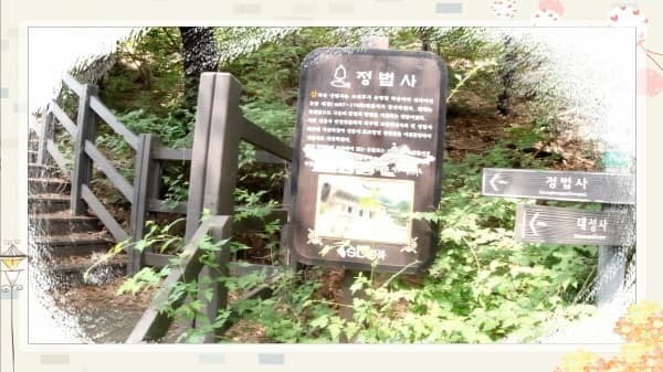 북악스카이웨이 산책로 완벽 가이드: 초보자도 쉽게 따라하는 코스