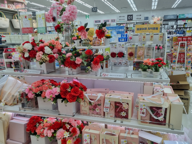 다이소-카네이션