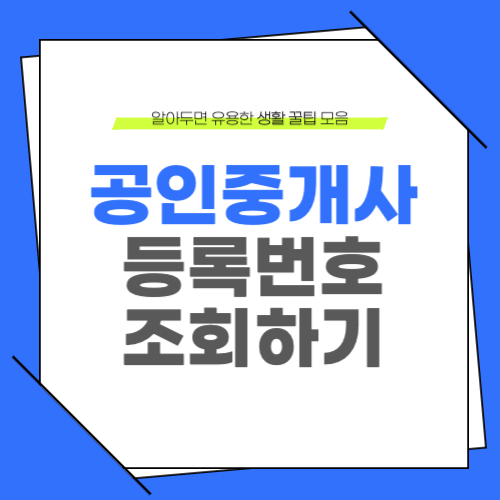 공인중개사 등록번호 조회 바로가기