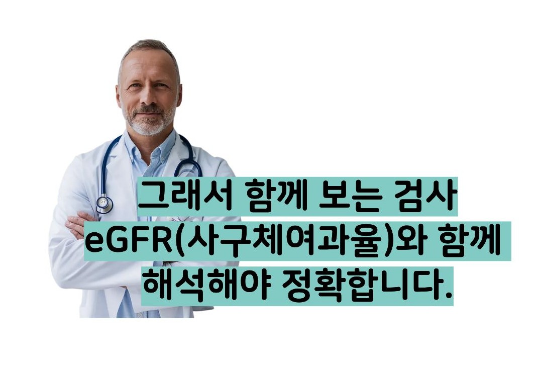 크레아티닌 정상수치