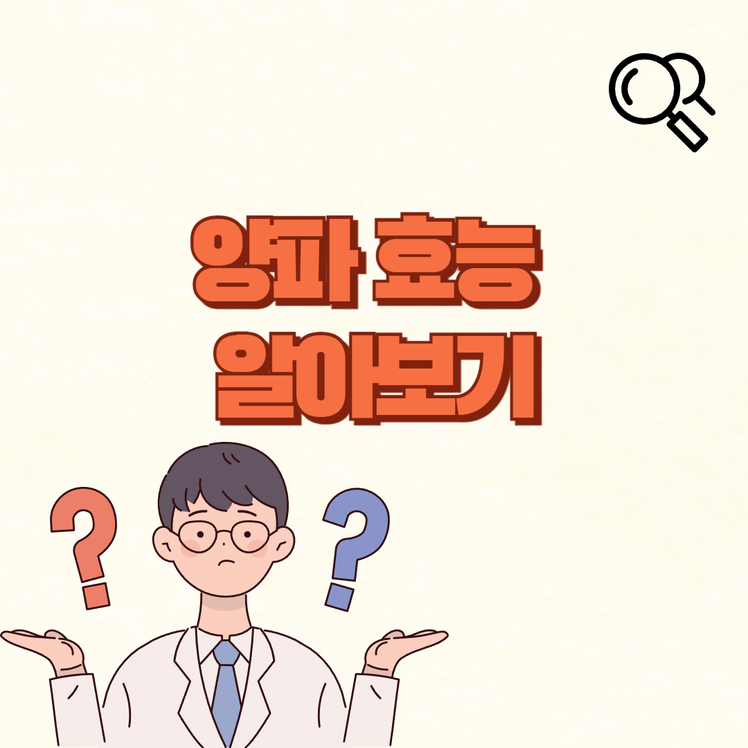 양파 효능✅