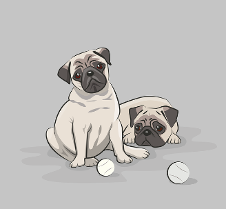 강남구 유기동물 입양비 지원 신청 방법: 입양부터 혜택까지