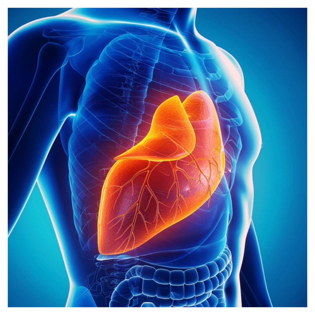 아르기닌과 관련된 사진입니다.