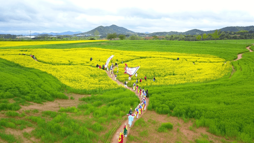 고창 청보리밭 축제