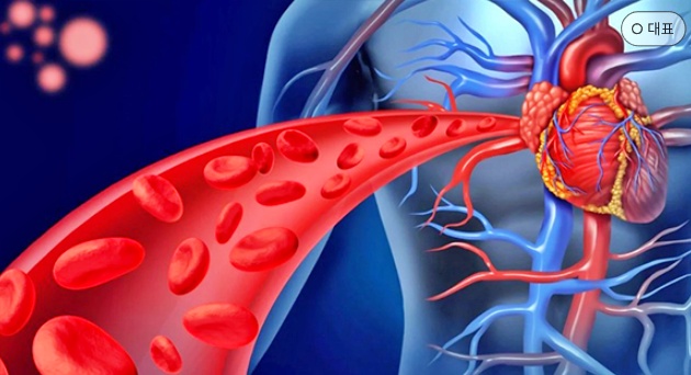 혈액순환을 원활하게 유지