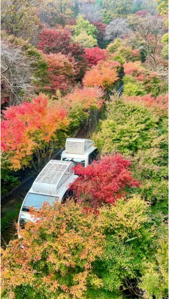 화담숲 단풍 절정시기 예약 방법까지 정리_26