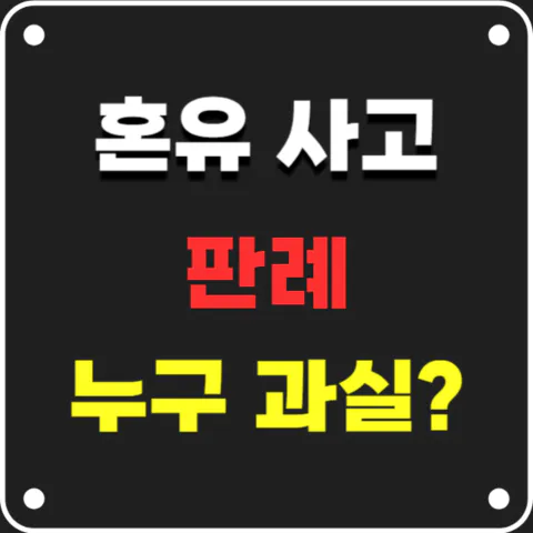 혼유사고 판례로 본 과실 비율