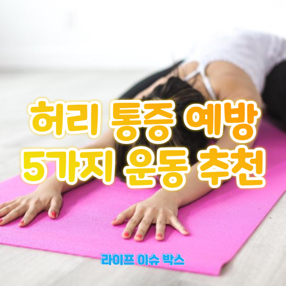 허리와 등 근육을 강화하고 허리 통증을 예방