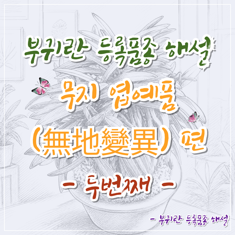 부귀란 등록품종 해설 무지 엽예품(無地變異) 편
