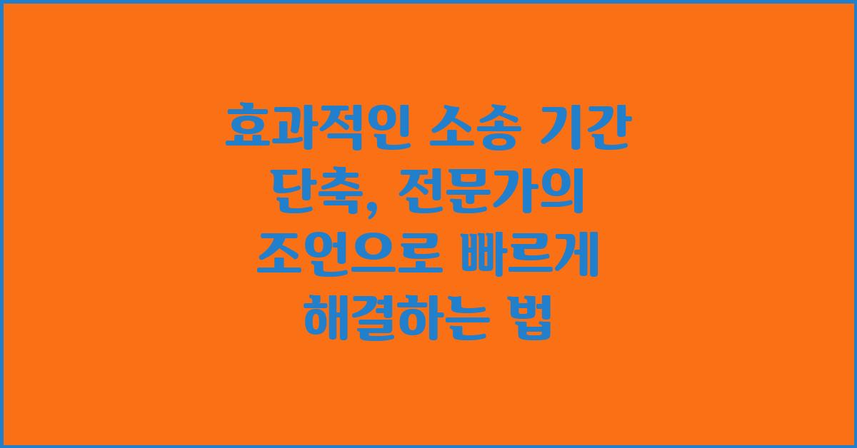 효과적인 소송 기간 단축, 전문가의 조언