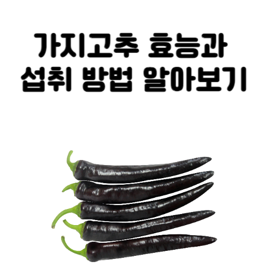 가지고추 효능과 섭취 방법