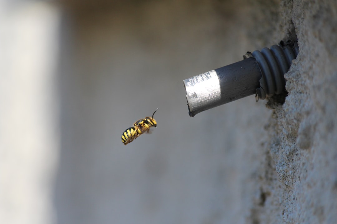 Spark plug.