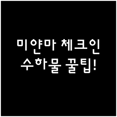 미얀마국제항공 온라인 체크인 시간과 ..