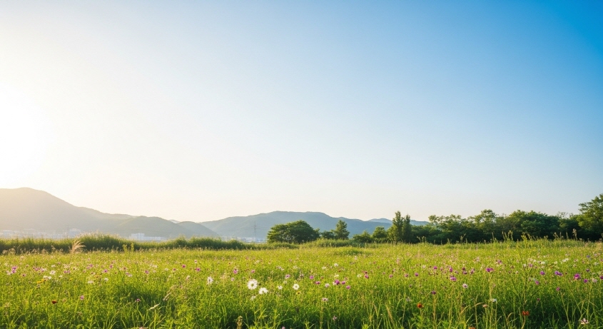 따뜻한 자연 풍경