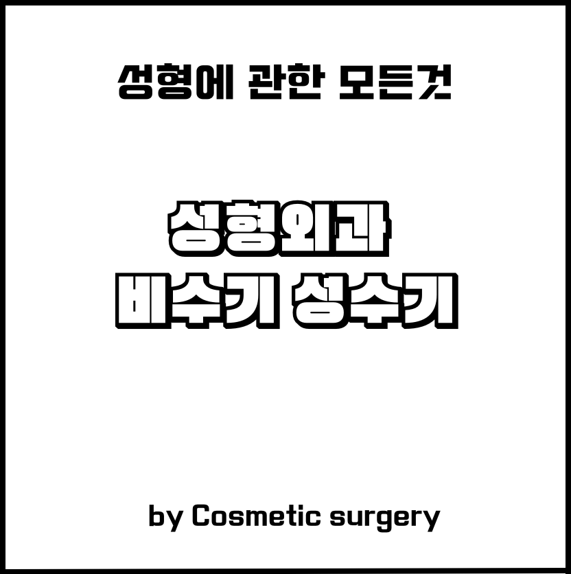 성형외과 성수기 비수기