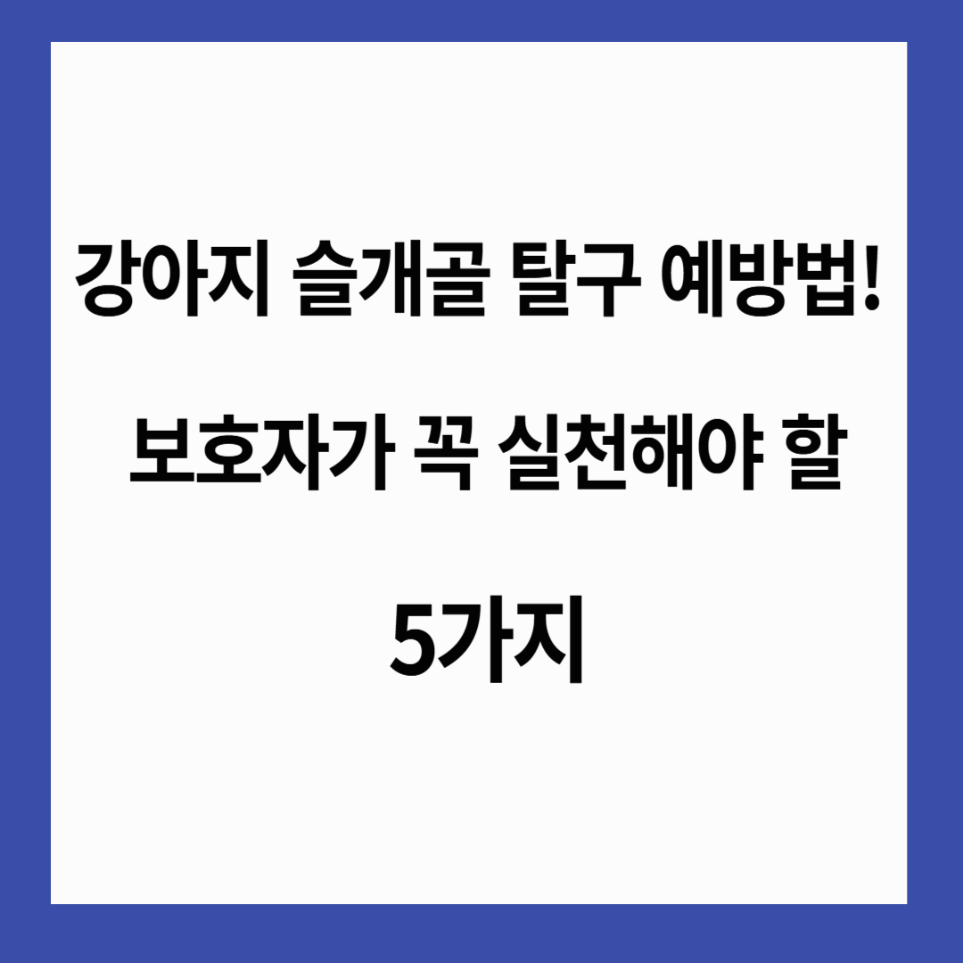 🐾 강아지 슬개골 탈구 예방법! 보호자가 꼭 실천해야 할 5가지