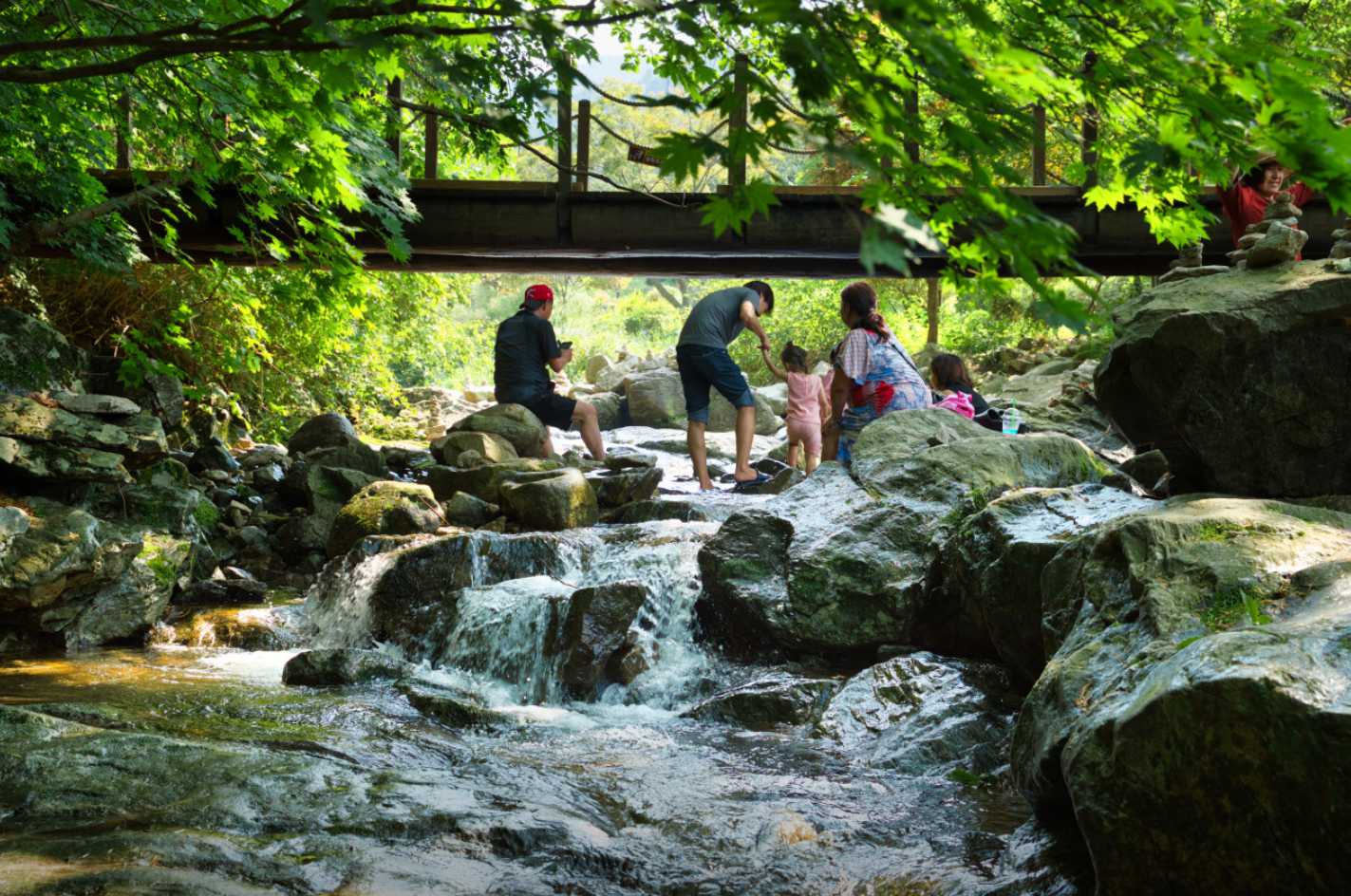 아침고요수목원