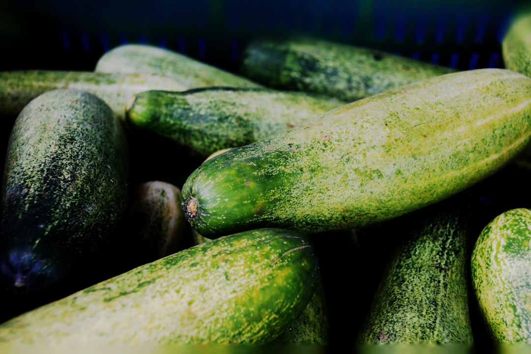 Cucumber