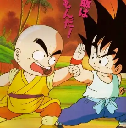 드래곤볼-크리링과손오공-이미지