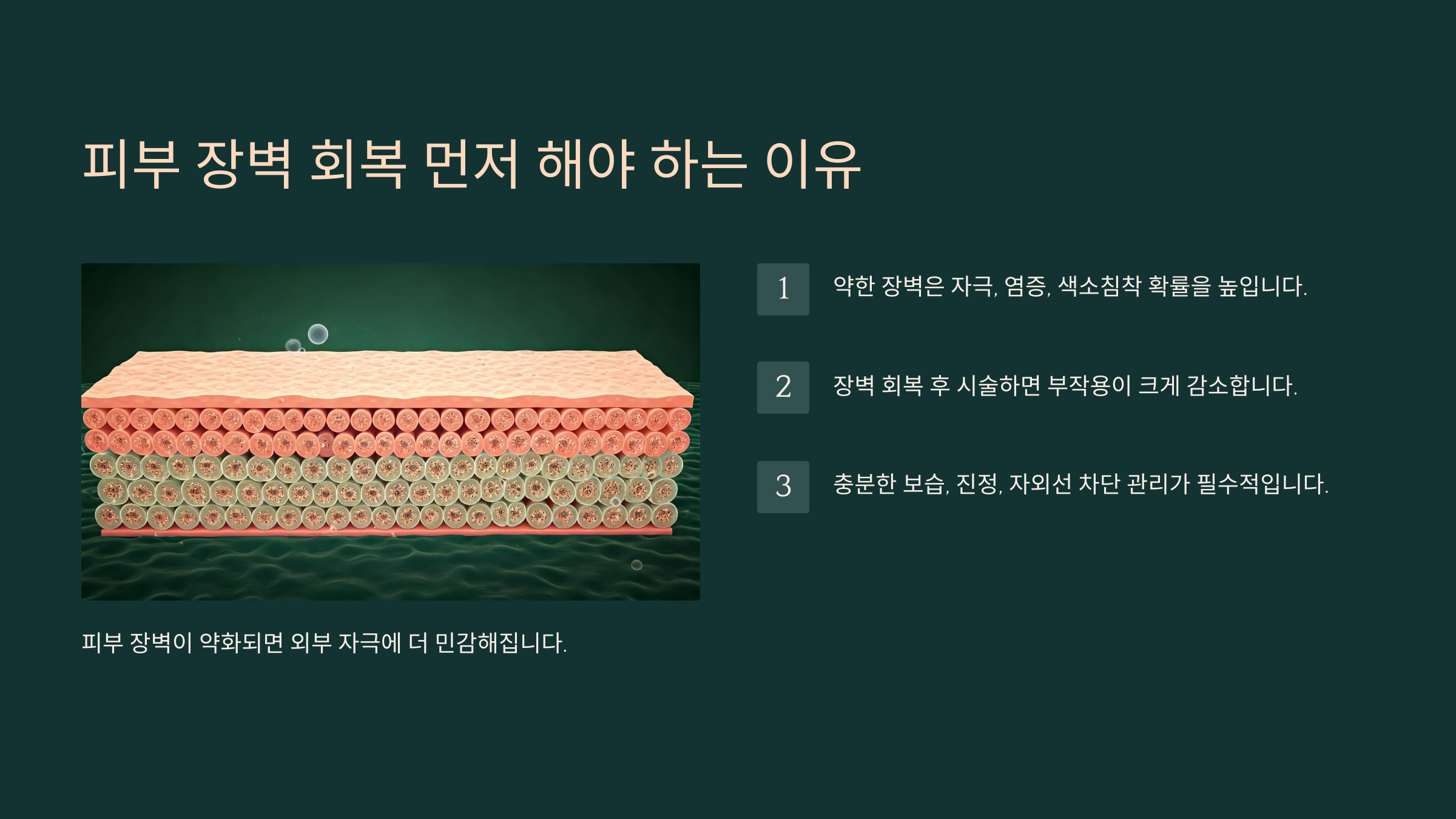 피부 장벽 회복 먼저 해야 하는 이유