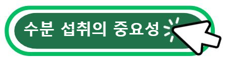 수분 섭취의 중요성