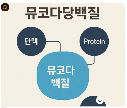 2025년 주목받는 성분,뮤코다당백질의모든것 사진