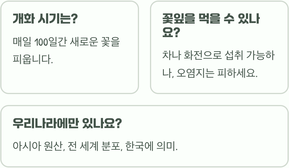 무궁화 꽃이 아침에 피고 저녁에 지는 이유, 1일화의 비밀