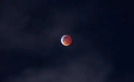 달 꿈해몽