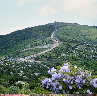 구례-지리산-노고단