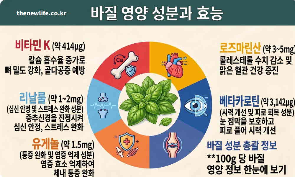 바질 효능 영양성분