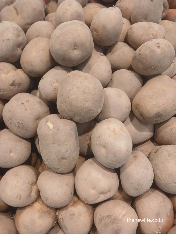 식욕억제 방법에 도움이 되는 박스 가득 진열된 감자