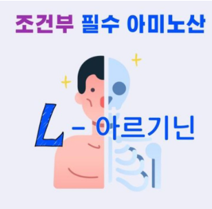 아르기닌 효능
