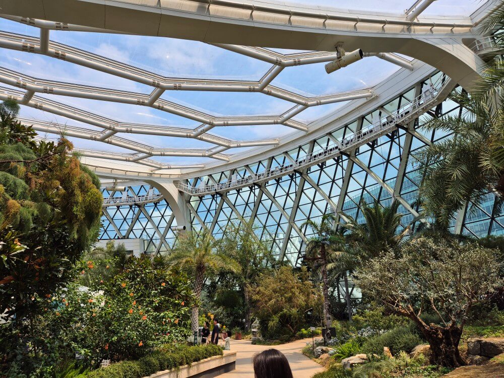 온실 천장 사진 2