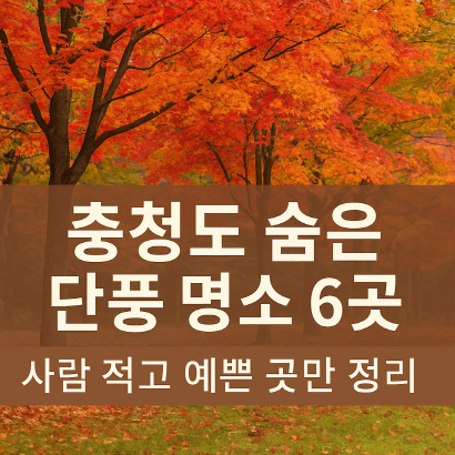 충청도 숨은 단풍 명소 6곳 – 한적하고 예쁜 가을 여행지 추천