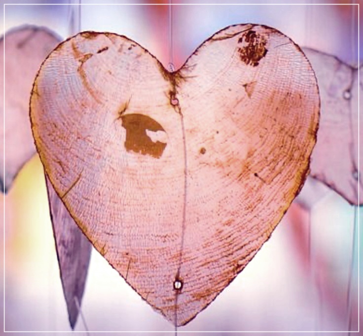 서맥과 빈맥: 증상, 원인, 그리고 심장 두근거림