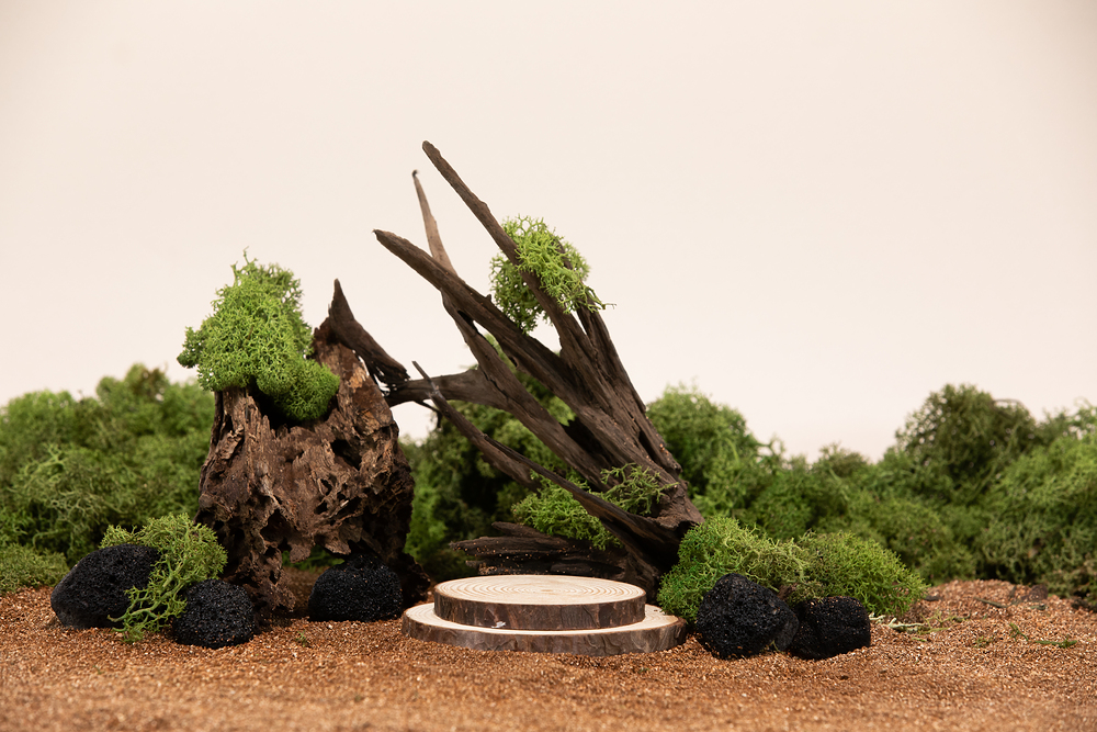 BEMS는 건물 소유자와 운영자에게 많은 혜택을 제공합니다. 우리는 모든 건물이 에너지를 상당히 많이 사용하고, 그만큼 많은 에너지 낭비가 발생한다는 것을 알고 있습니다.