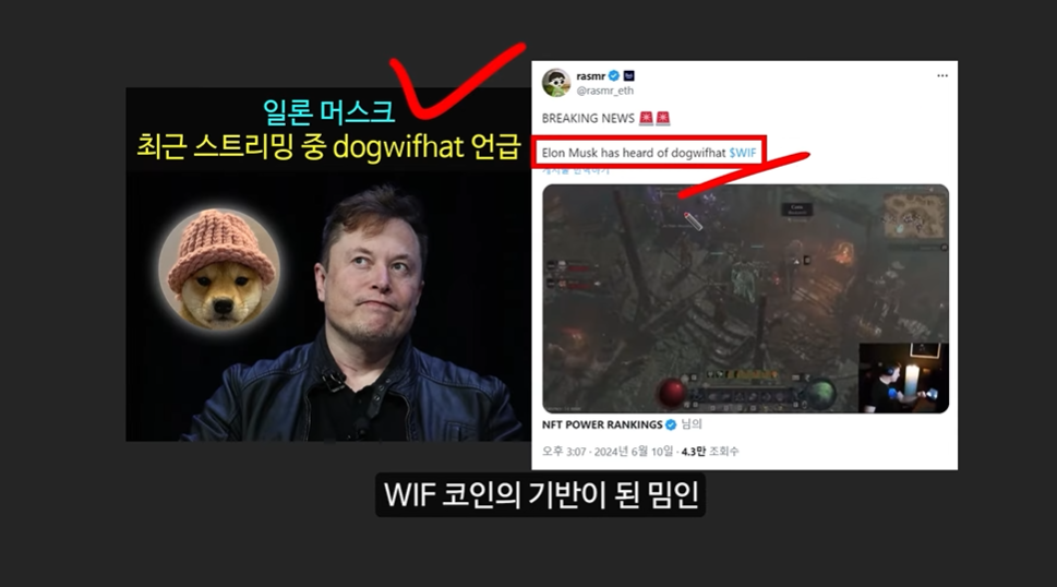 일론 머스크의 충격 발언과 도지코인, 플로키코인, 위프코인, 피넛코인, 프레드 코인의 강력한 상승 가능성 분석