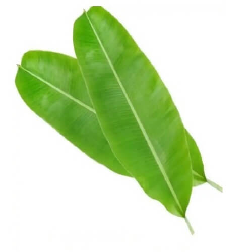 바나나잎추출물