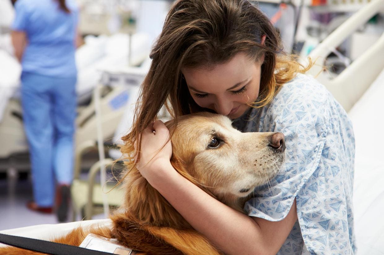 강아지도 느낄 수 있는 인간의 심리적 스트레스 Study Finds That Dogs Can Detect When We&rsquo;re Stressed Out