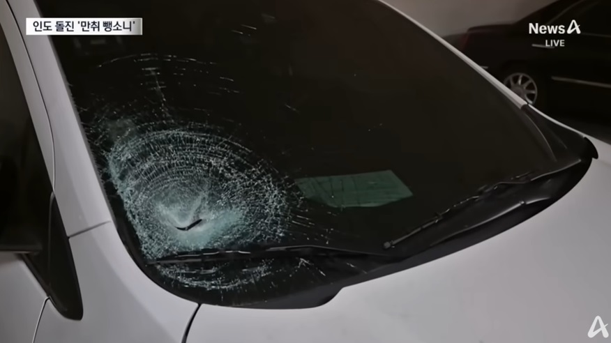 만취 운전자의 뺑소니 사건