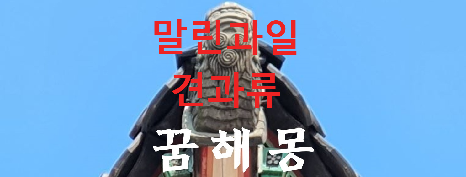 꿈해몽