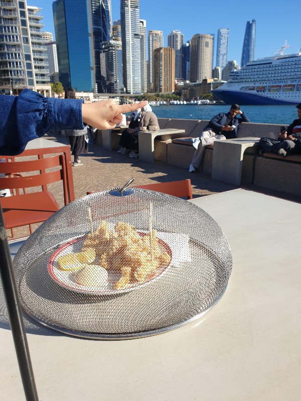 시드니 오페라 하우스부터 로열 보타닉 가든, NSW 아트 갤러리까지_오페라 하우스 주변 레스토랑