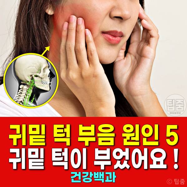 귀밑 턱 부음 원인 귀밑 턱이 부었어요