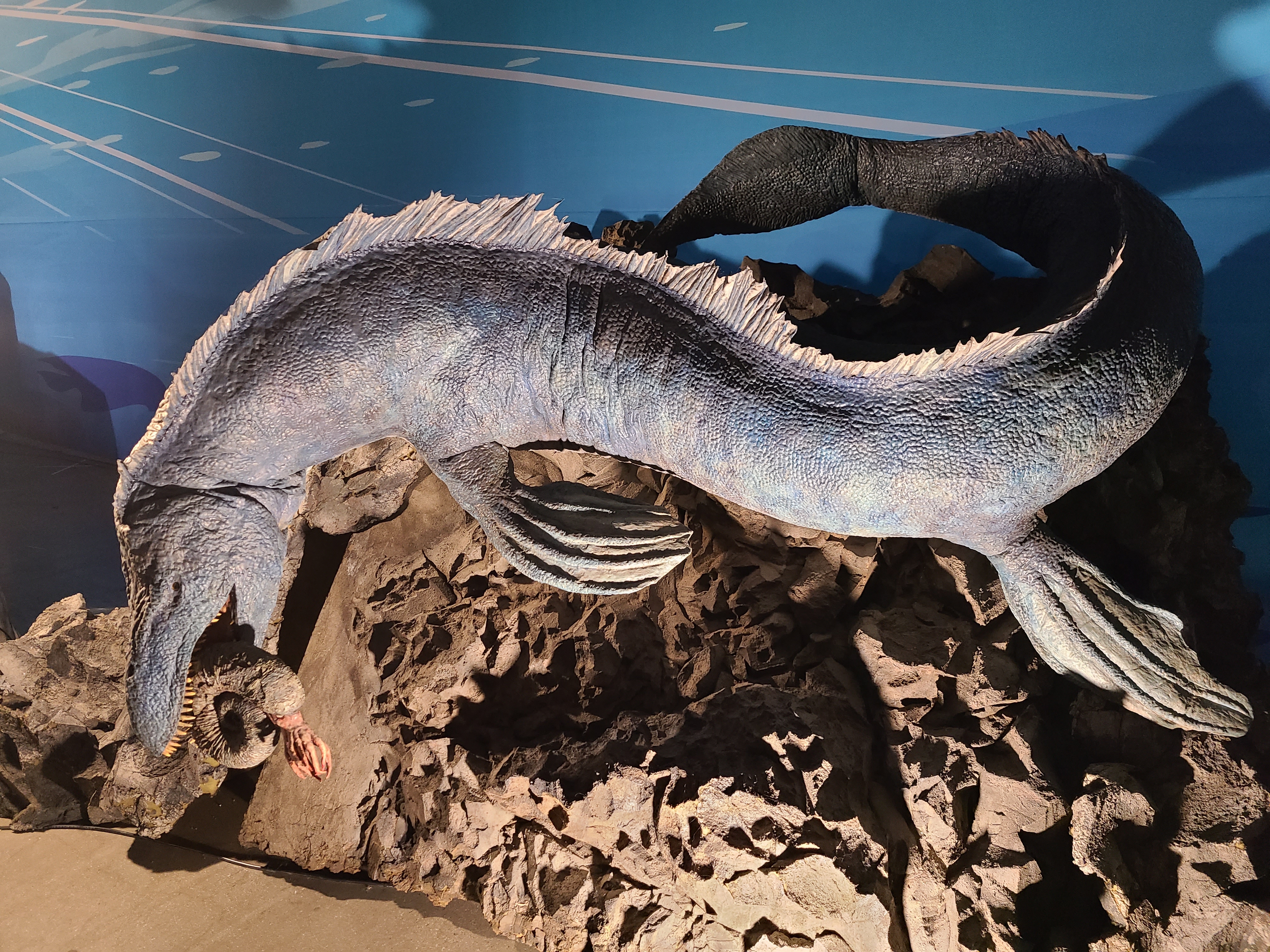 2023 찾아가는 공룡엑스포 in 일산 모사사우르스 모형