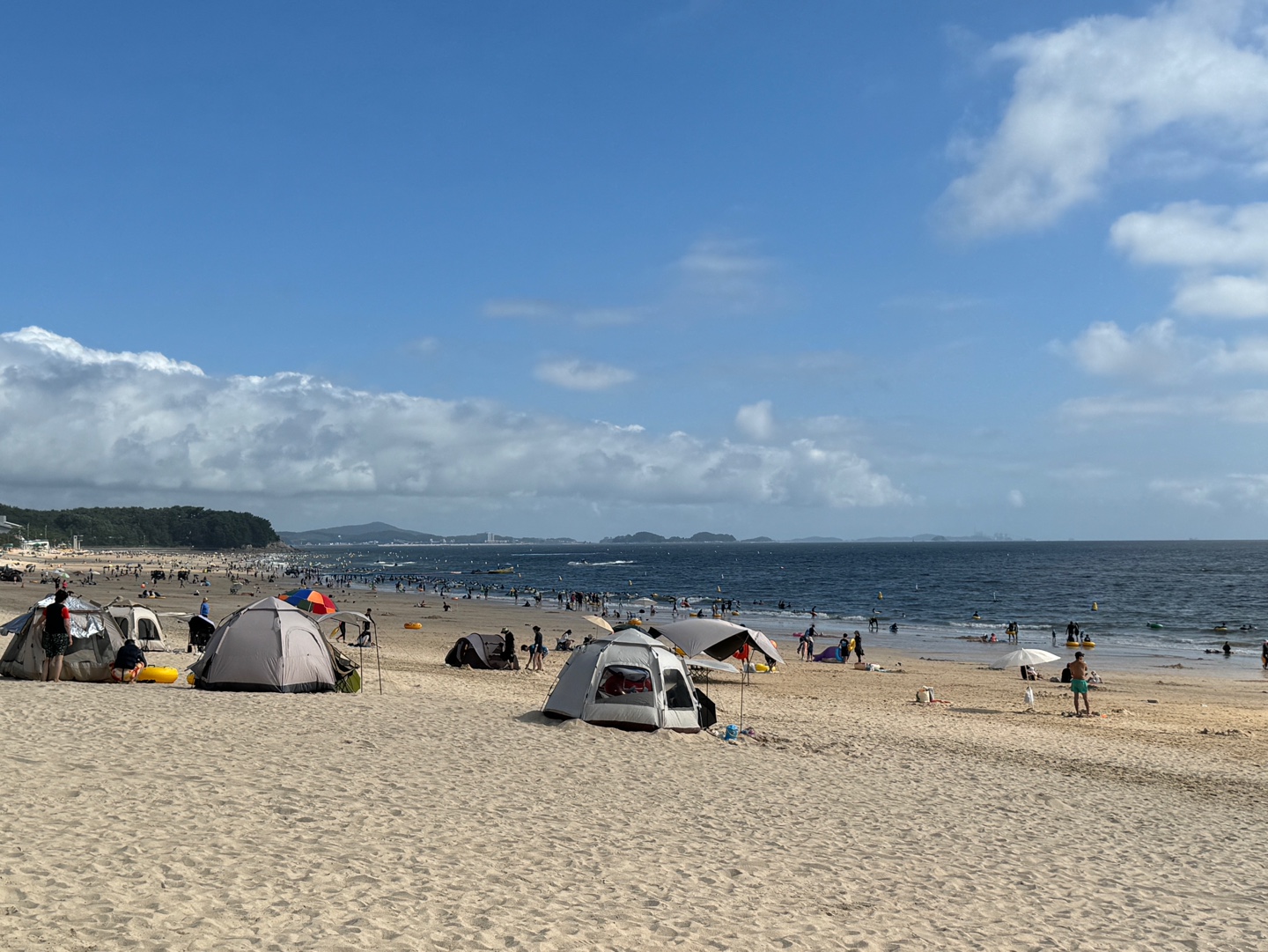보령머드축제