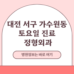 대전 서구 가수원동 토요일 정형외과 진료 병원
